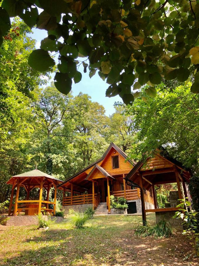 Villa Brvnara Vršac Exterior foto