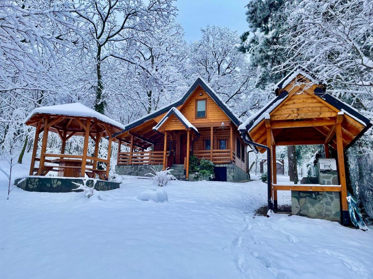 Villa Brvnara Vršac Exterior foto
