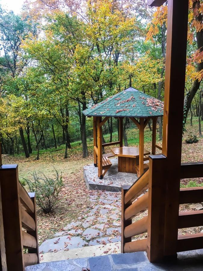 Villa Brvnara Vršac Exterior foto