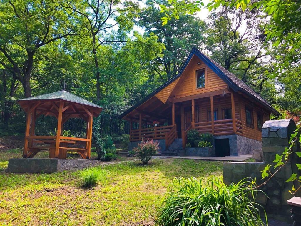 Villa Brvnara Vršac Exterior foto