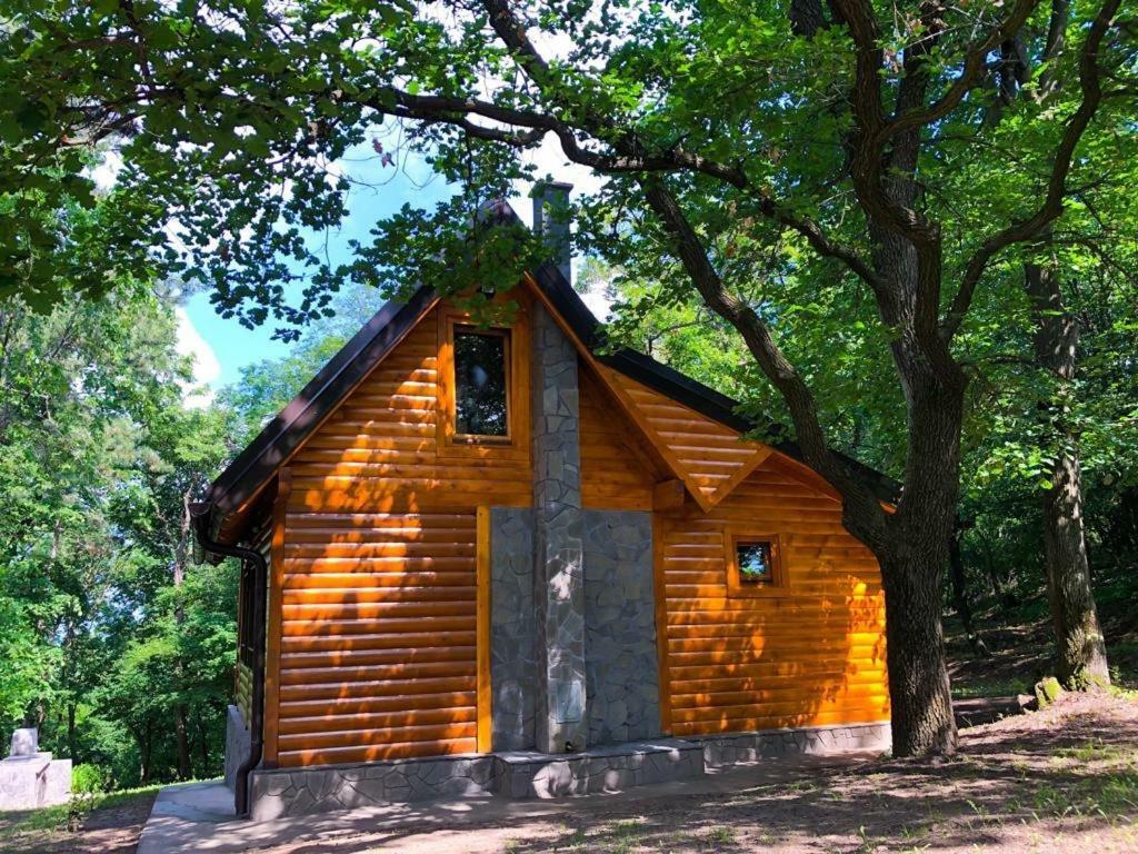 Villa Brvnara Vršac Exterior foto